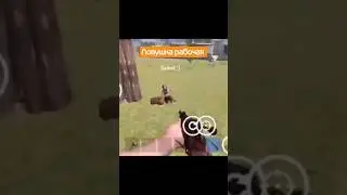 Ловушка на турелях в oxide survival Island 