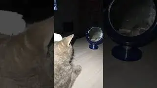 Очень востребованная процедура 