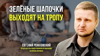 «Зелёная Арктика» объявила о начале проекта «Экология внутри» и ведёт поиски волонтёров