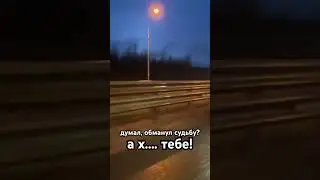 Обочечник схавал до гланд 😎