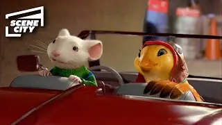 Stuart Saves Margalo From Falcon | Stuart Little 2 (Michael J. Fox, Melanie Griffith)