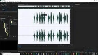 Editor Panel in detail - Introduction of Adobe Audition CC | Audio Editing Tutorial