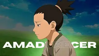 O Peso de Crescer: A Filosofia de Shikamaru (naruto)