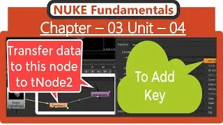 NUKE Fundamentals : Animating Parameters & Transferring Animation Between Nodes | Nuke tutorial |