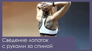 Сведение лопаток. Простое упражнение