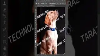 Remove Photo Watermarks in Photoshop 