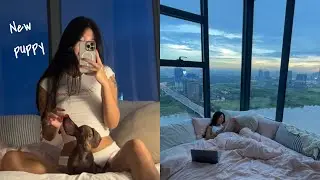 I GOT A NEW PUPPY!! My new daily routine (VLOG)