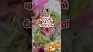 Пусть глаза Ваши сияют счастьем 🎉 С Днем рождения женщине короткое 
