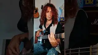 The Ocean bassline 