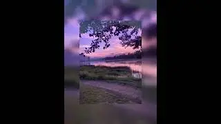вайбовая музыка/музыка на рандом