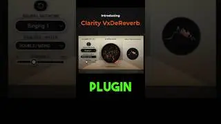 Record ANYWHERE Without ECHO! Clarity Vx DeReverb