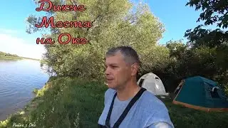 Рыбалка/Отдых с ПАЛАТКАМИ где Вековые ИВЫ на ОКЕ! 