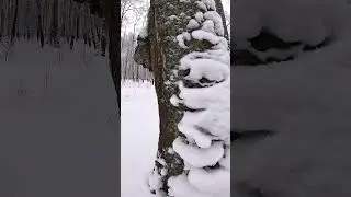 С Новым Годом!