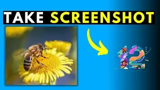 How to Take Video Screenshot in Filmora 12