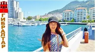 10 Фактов О Гибралтаре! / Совместный Проект