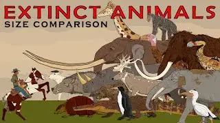Random Extinct Animals Size Comparison Vol.3 (Dire wolf, Daeodon, Mammoths, Rhinos, Terror birds)