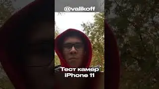 Камеры iPhone 11