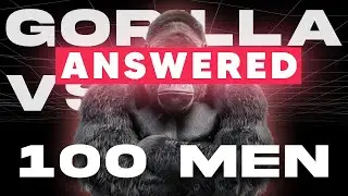 1 GORILLA vs 100 MEN : Debate is Finally ANSWERED (You won't Believe it)