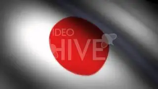 Motion Graphics - ANIMATED WORLD FLAGS set 1 (9 clips) | VideoHive