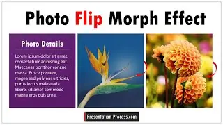 Photo Flip Effect using PowerPoint Morph Transition