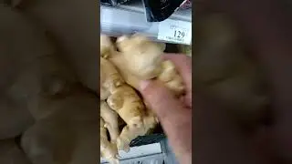 На обзор корень имбиря из магазина покупАлко