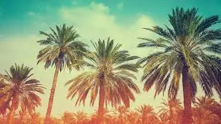 Подкаст 