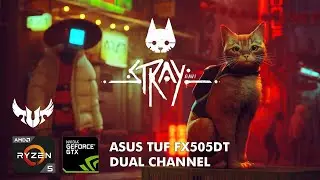 Stray on ASUS TUF FX505DT | Ryzen 5 3550H | GTX 1650 | 16GB DDR4