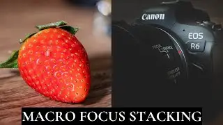 How I Do Focus Stacking in Lightroom & Photoshop