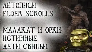 Летописи Elder Scrolls Малакат и Орки Истинные дети свиньи