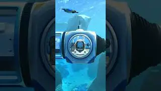 NEW SEATRUCK DOCK SUBNAUTICA UPDATE