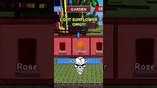 I Got Sunflower Seed Grow a Garden  #roblox