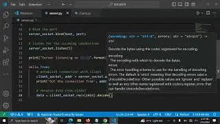Send data from Python socket client to socket server