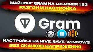 🔥Майнинг GRAM на lolminer 1.83. Разгон, настройка и доход на Hive OS, Rave OS, Windows