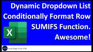 SUMIFS with Dynamic Data Validation List & Conditional Formatting for Row. Excel Magic Trick 1739