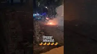 Diwali Festival Celebration 🪔🪔 #deepavali #shorts #diwali