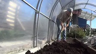 Высаживаю томаты Ночи еще холодные Укрываю рассаду