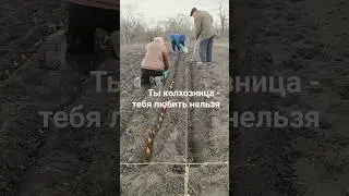 Ты колхозница - тебя любить нельзя