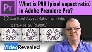 What is PAR (pixel aspect ratio) in Adobe Premiere Pro?