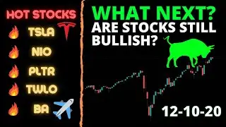 WHAT NEXT? Are Stocks Still BULLISH? | TSLA , NIO , PLTR , S&P500 , QQQ