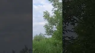 На берегу реки. #рыбалка #nature #music #природа #fishing #vikings #лето #озеро