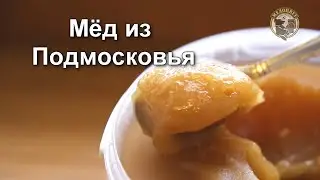 Мёд из Подмосковья Мёд для сердца