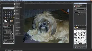 GIMP 2.8 How to Use a Layer Mask | Extract like a Professional