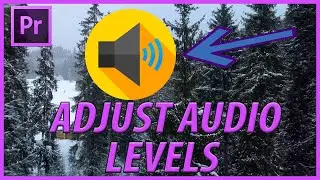 How to Adjust Audio Levels in Adobe Premiere Pro CC (2022)