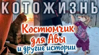 КОСТЮМЧИК ДЛЯ АВЫ❄️В ГОСТЯХ У МАРИНЫ и другие истории😻КОТОЖИЗНЬ!