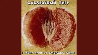 Я хочу куни от Джорджа Клуни