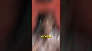 Identify any song with the tune of the song🎶🤯 Simple trick 