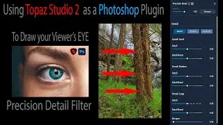 Using TOPAZ STUDIO 2 as a PHOTOSHOP PLUGIN: To Draw Your Viewer's EYE (PRECISION DETAIL FILTER)