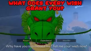 What Does Every Wish Grant You In Anime Story