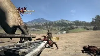 Dragon's Dogma: Dark Arisen.Знаки клятвы 27,29,30,31,32 не поднял 28