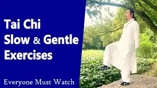 Tai Chi Slow and Gentle Exercises | Taichi Zidong